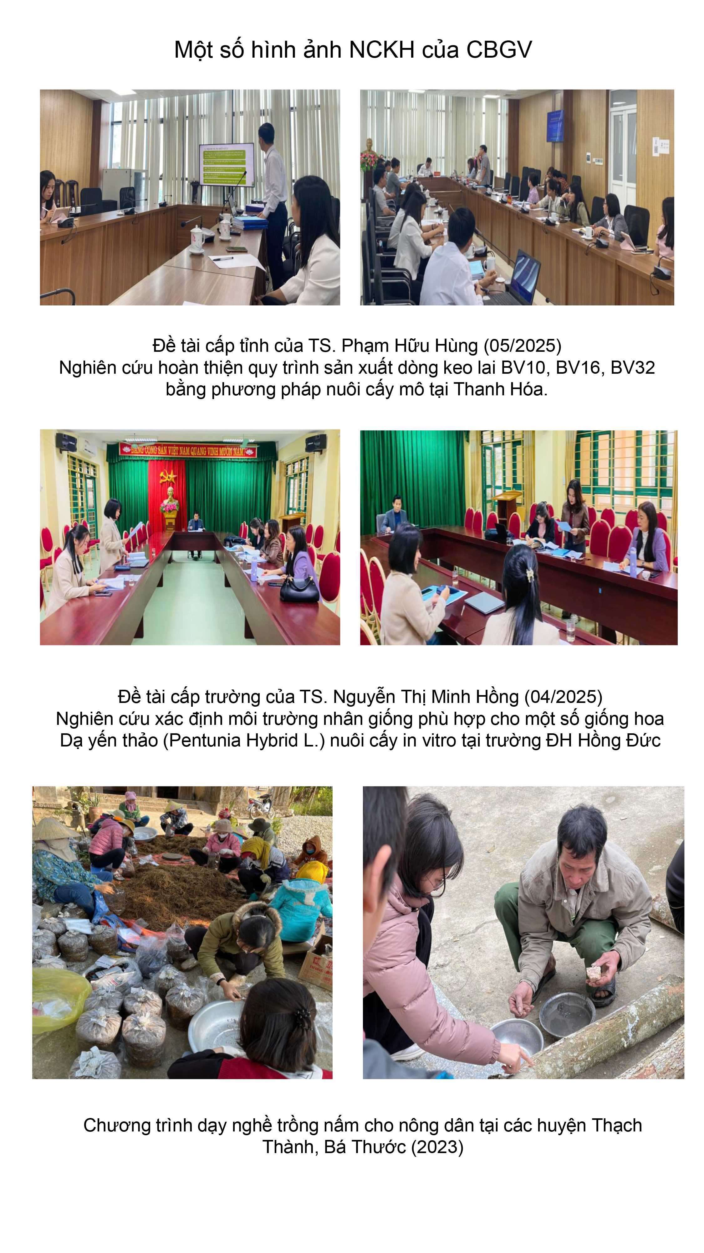 Media\2011_nln.hdu.edu.vn\FolderFunc\202506\Images/ln3-20250617090037-e.png